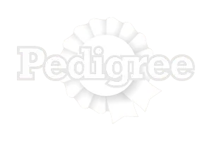 logo-1-1.webp