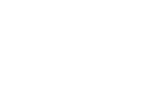 logo-11.webp