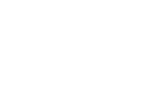 logo-12.webp
