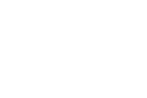 logo-14.webp