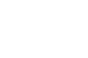 logo-15.webp