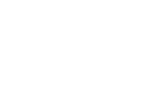 logo-4-1.webp