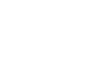 logo-9.webp
